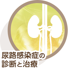 尿路感染症の診断と治療