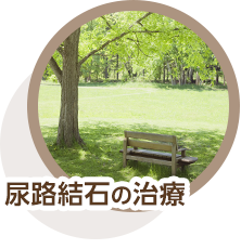 尿路結石の治療