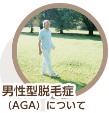 男性型脱毛症（AGA）について